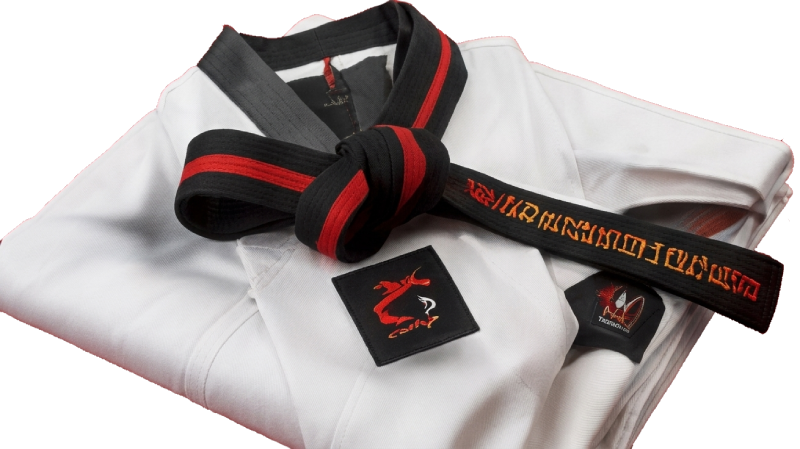 Ronny's Taekwondo white uniform with belt - free with trial offer